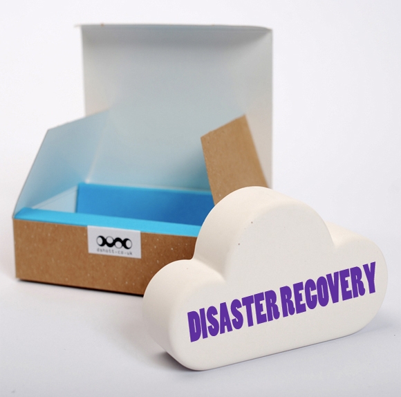 Disaster recovery cloud computing