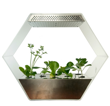 Green hive