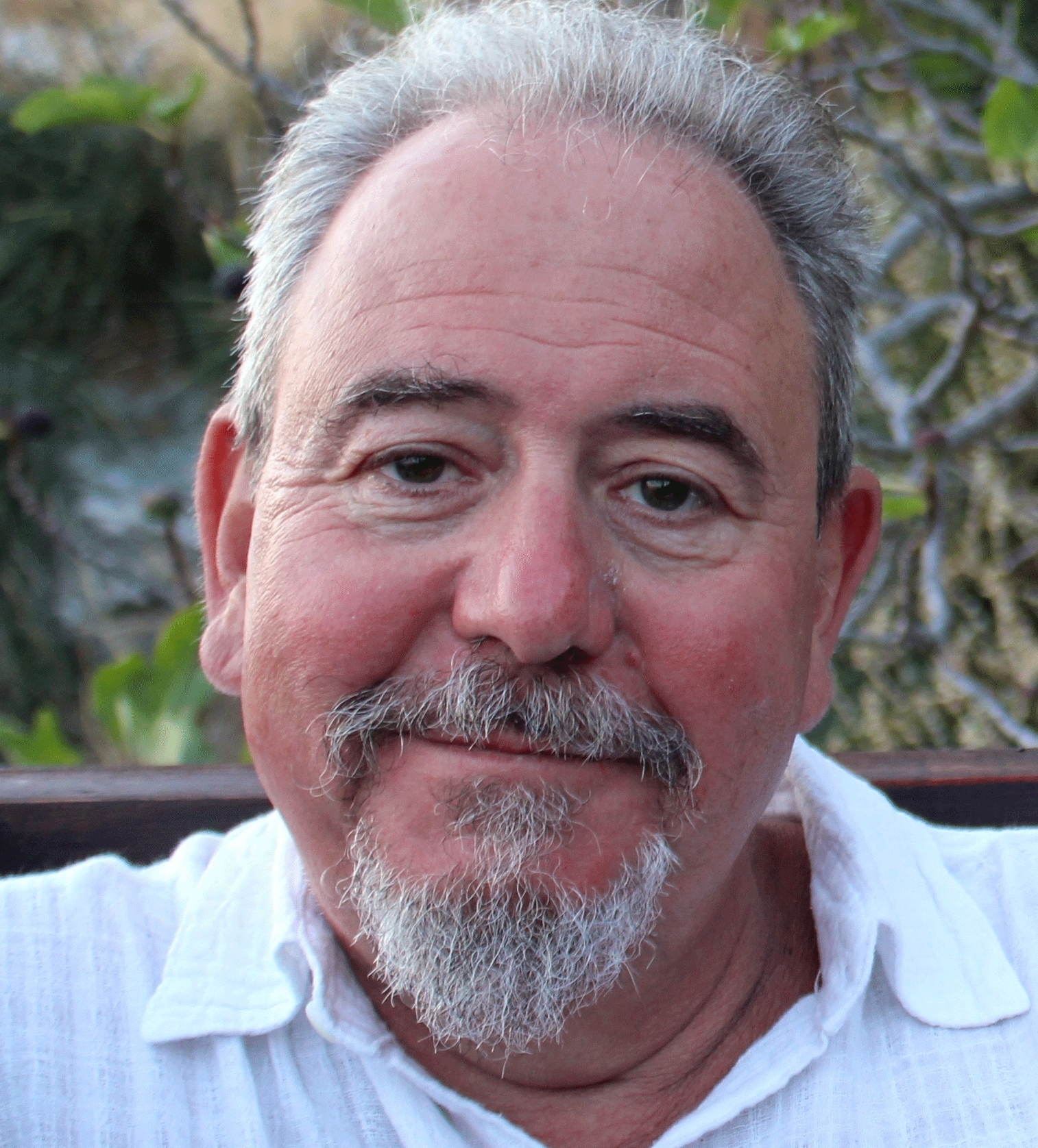 Carlo Mochi Sismondi, Presidente di Forum PA