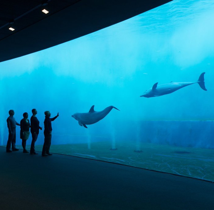 acquario genova costa edutainment filippo costa