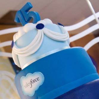 Salesforce.com SaaS Cloud software as a service