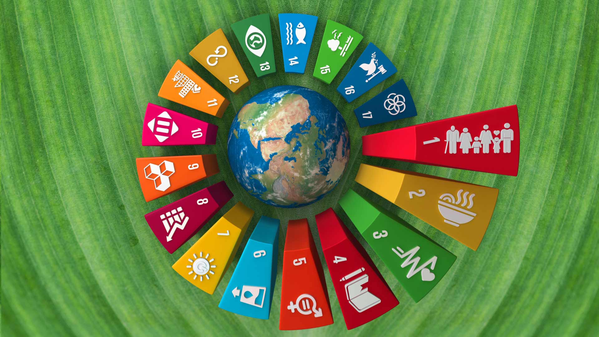 Desigualdad Social Agenda 2030 RBWPPQ